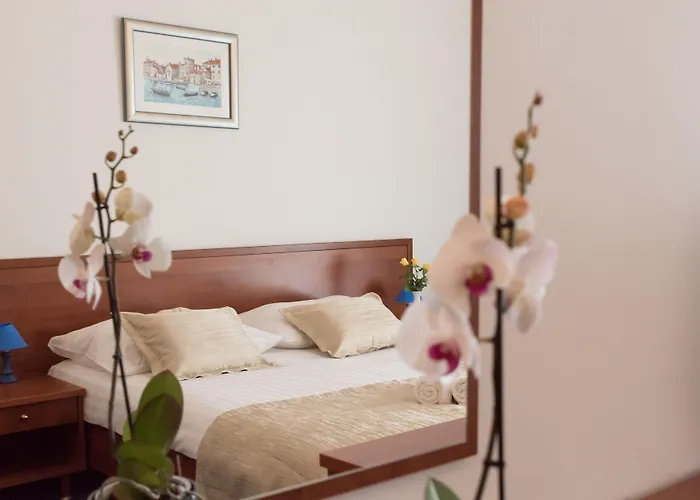 Hotell Krilo 3*